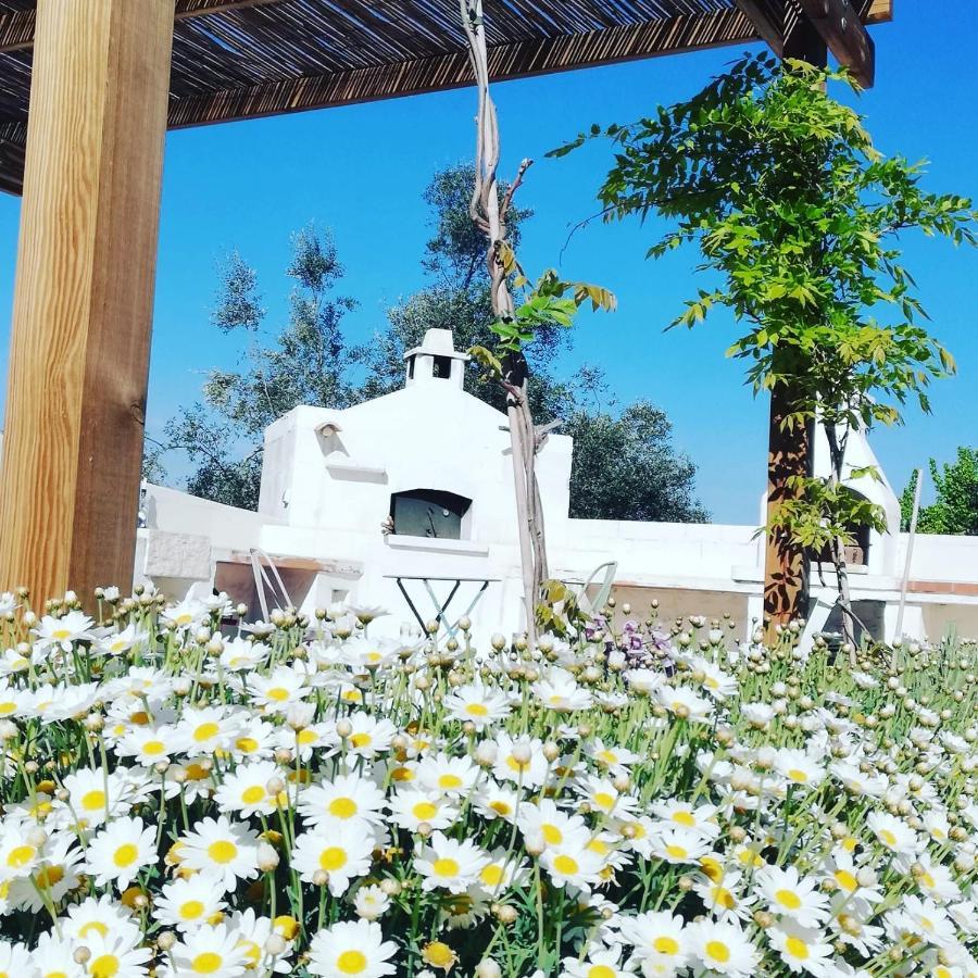 B&B Giovannarolla Green House Ostuni Exterior photo