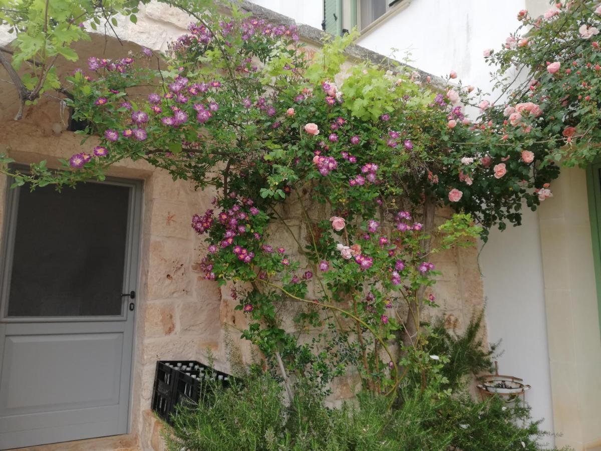B&B Giovannarolla Green House Ostuni Exterior photo