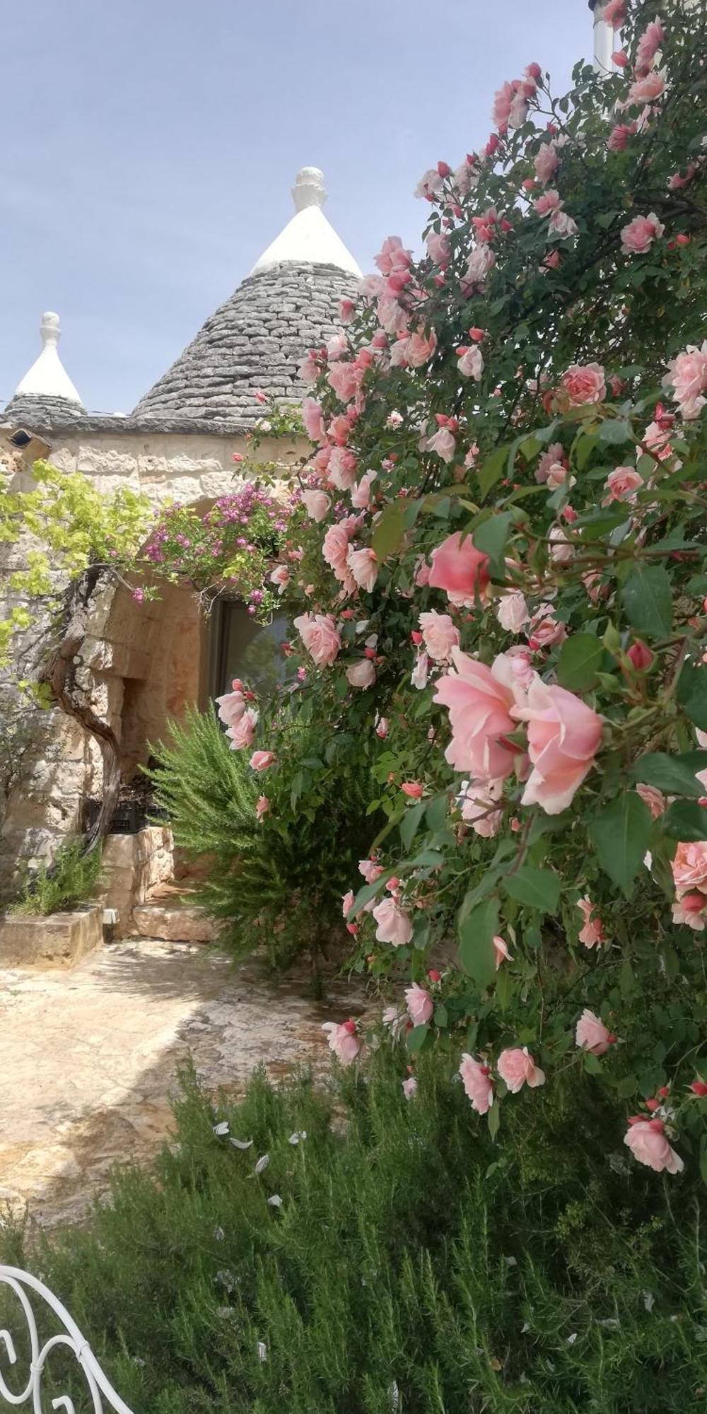 B&B Giovannarolla Green House Ostuni Exterior photo