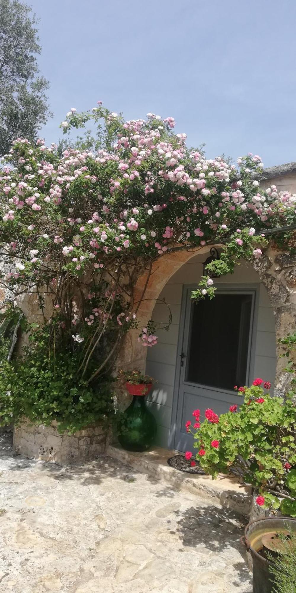 B&B Giovannarolla Green House Ostuni Exterior photo