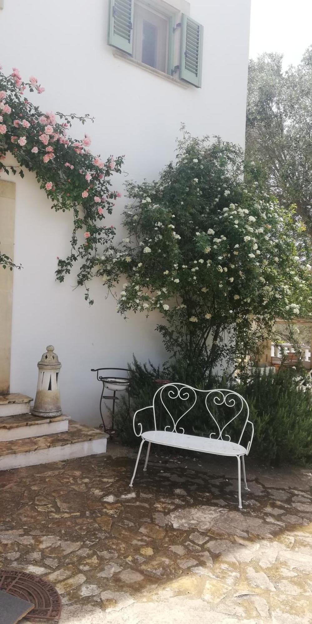 B&B Giovannarolla Green House Ostuni Exterior photo