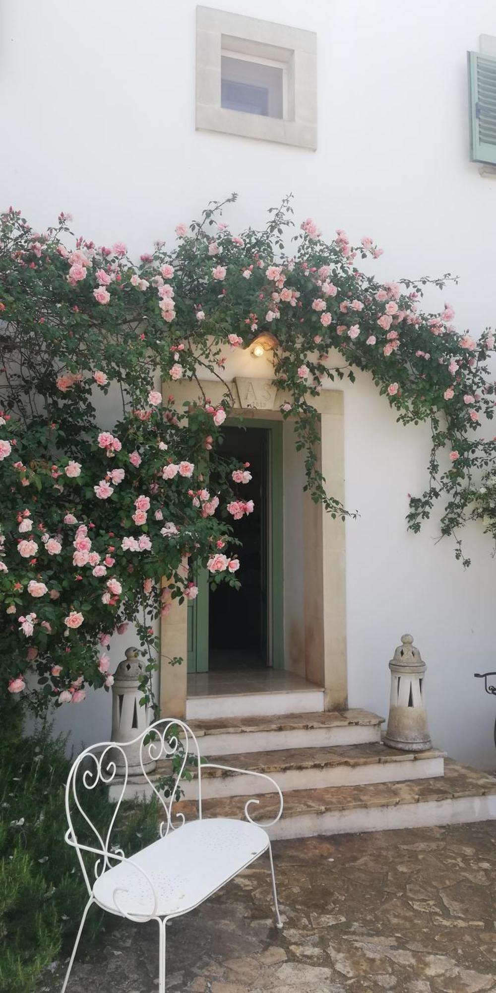 B&B Giovannarolla Green House Ostuni Exterior photo