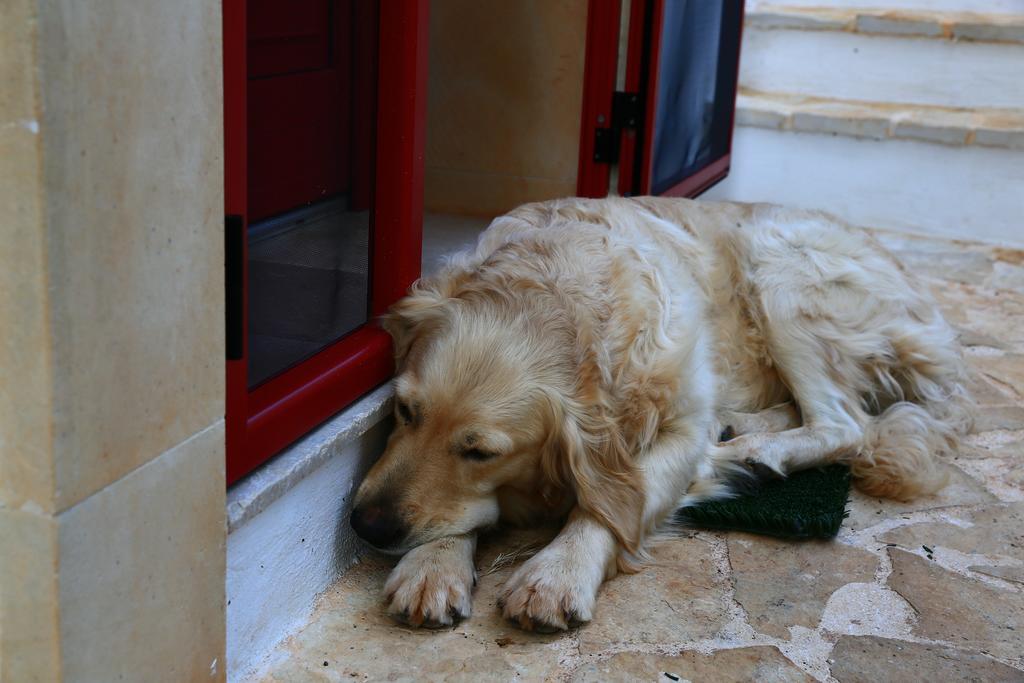 B&B Giovannarolla Green House Ostuni Exterior photo